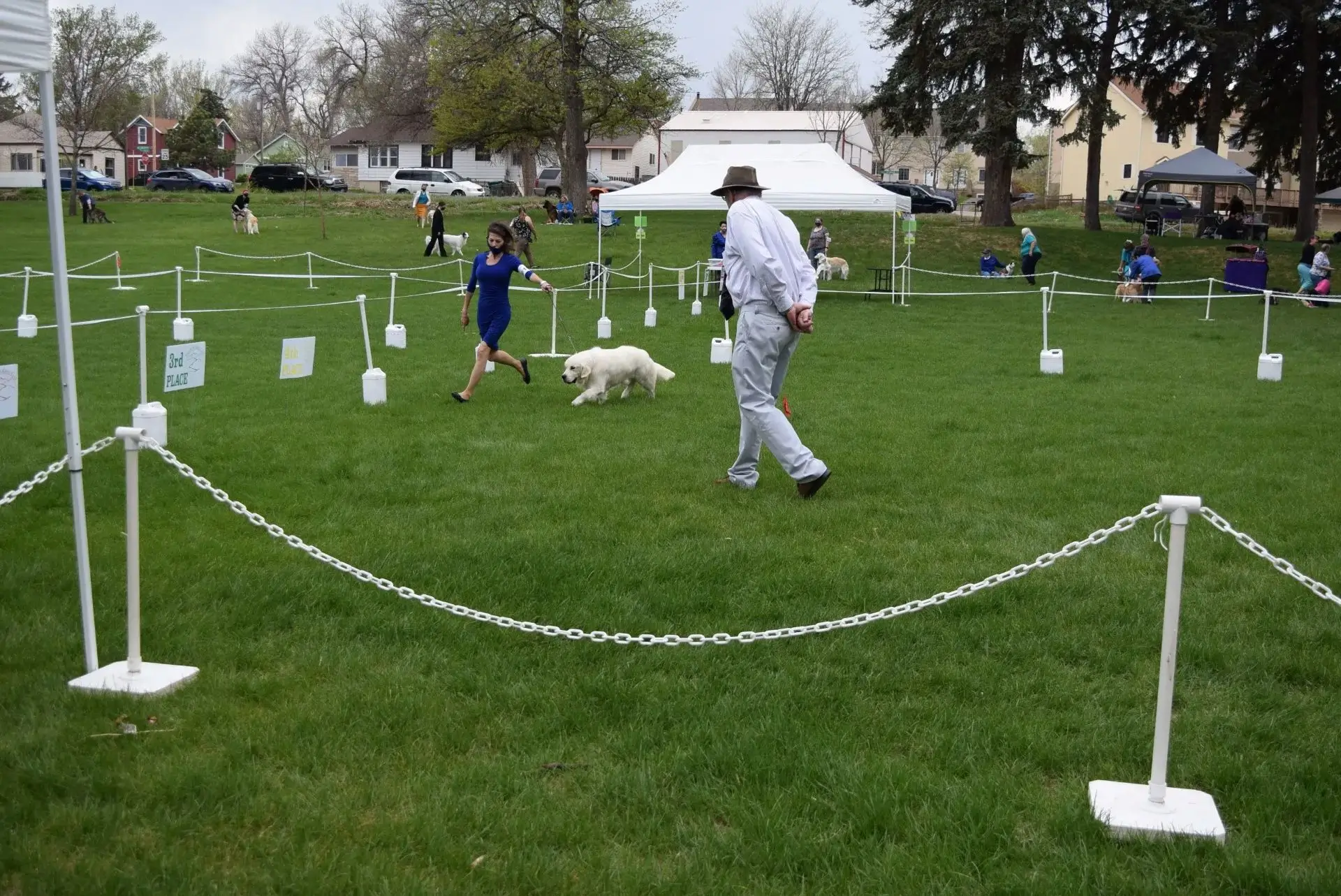 Dog show outdoors with handler and judge.